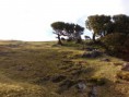 /album/madeiranatureza/cimg1482-jpg/